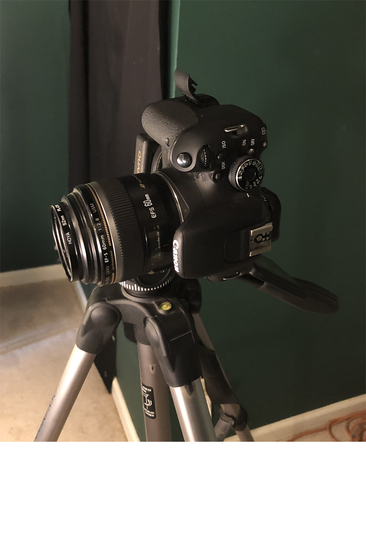 Photographing the work