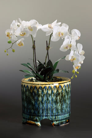 Orchid Pot